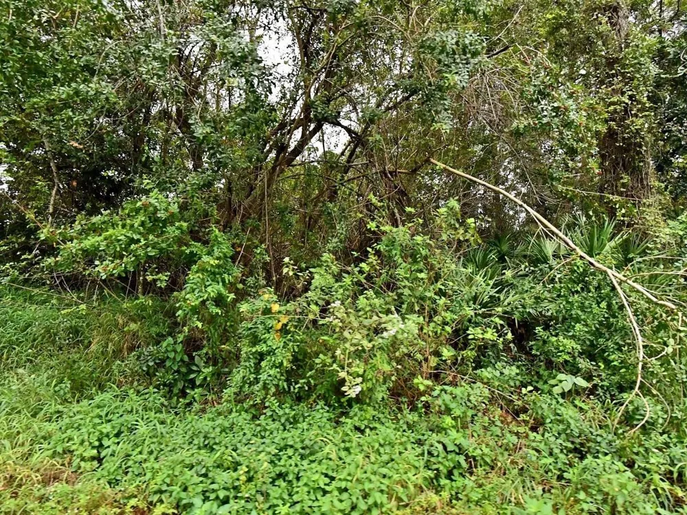 Avenue Avenue Fort Pierce, FL 34947