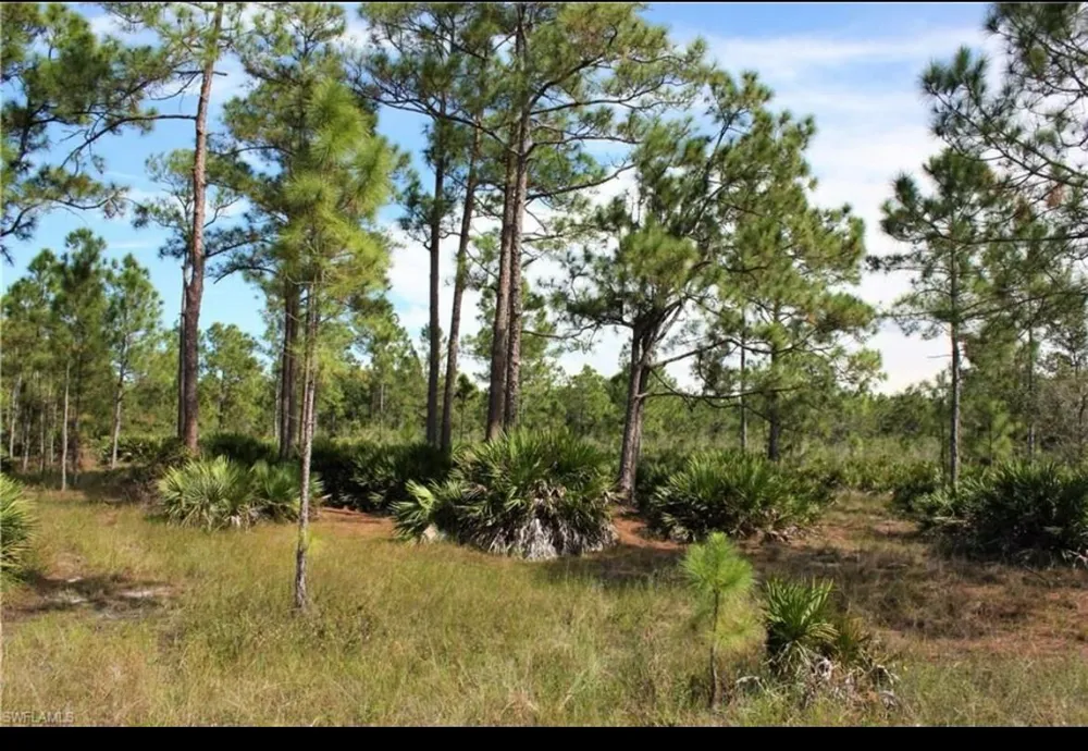 1855 Miller Street Lehigh Acres, FL 33972