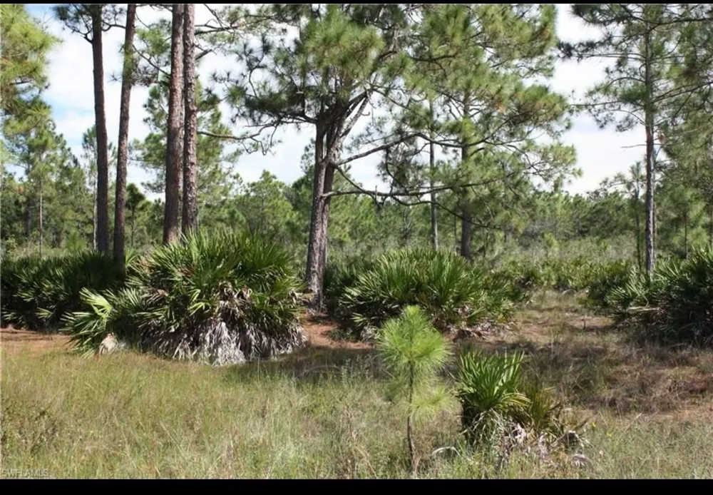 1855 Miller Street Lehigh Acres, FL 33972
