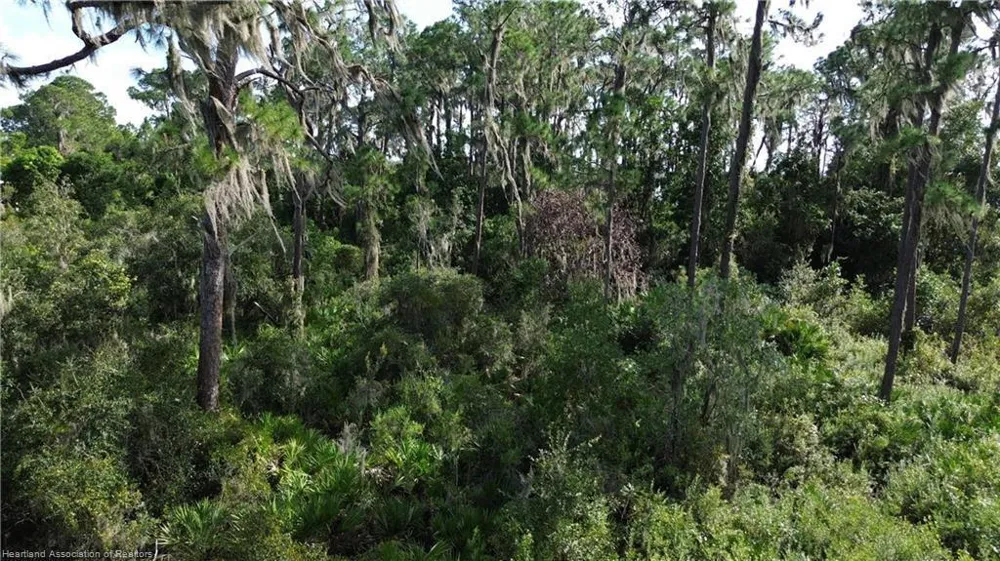3029 Hawks Landing Circle Sebring, FL 33875