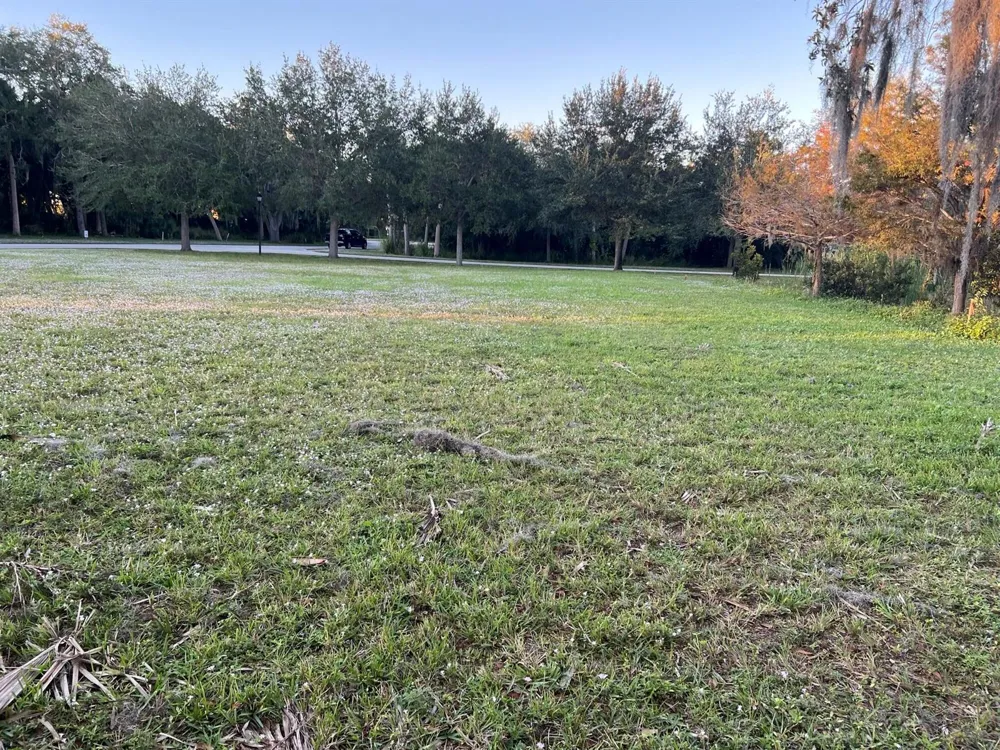 11324 Ganesh Way Sebastian, FL 32958