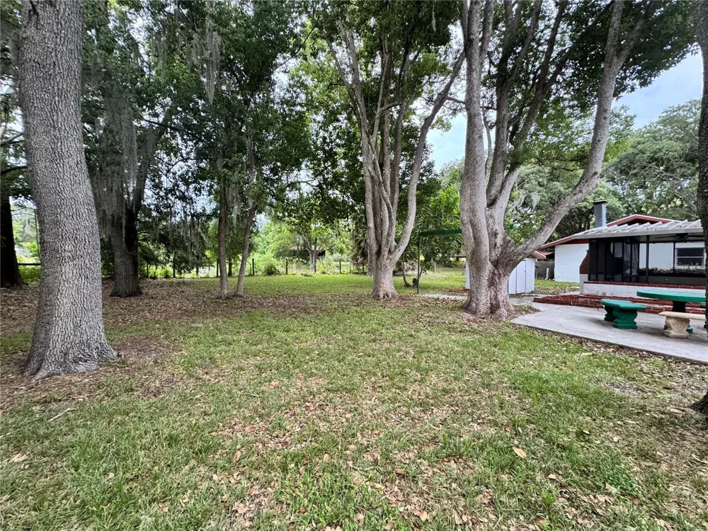 8225 E HIGHWAY 25 Belleview, FL 34420