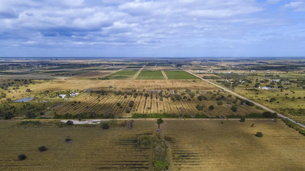 2321 Sneed Road Fort Pierce, FL 34945