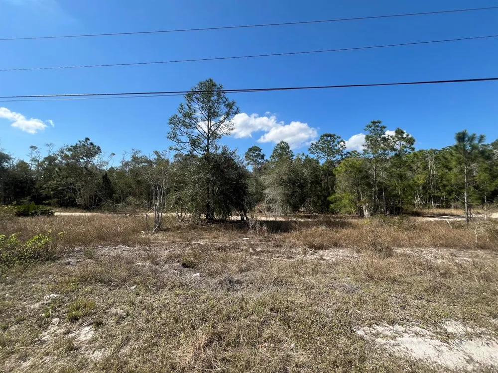 494 Burrstone Drive Lehigh Acres, FL 33974