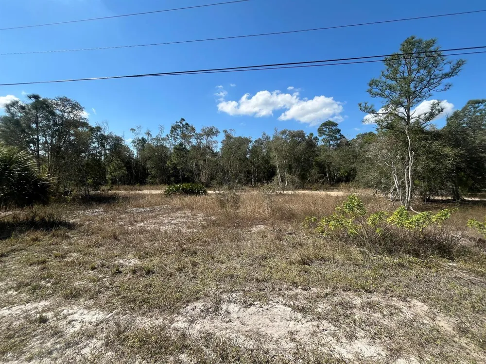 494 Burrstone Drive Lehigh Acres, FL 33974