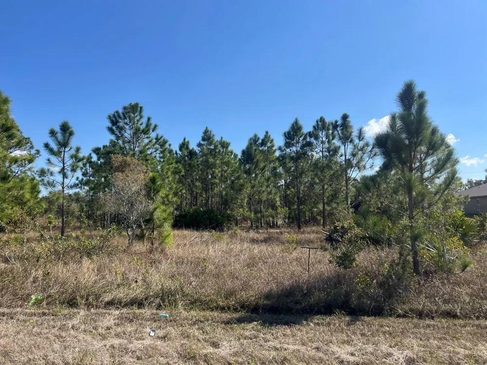 1247 Brunell Avenue Fort Myers, FL 33913