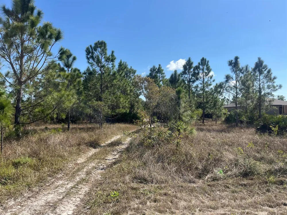 1247 Brunell Avenue Fort Myers, FL 33913