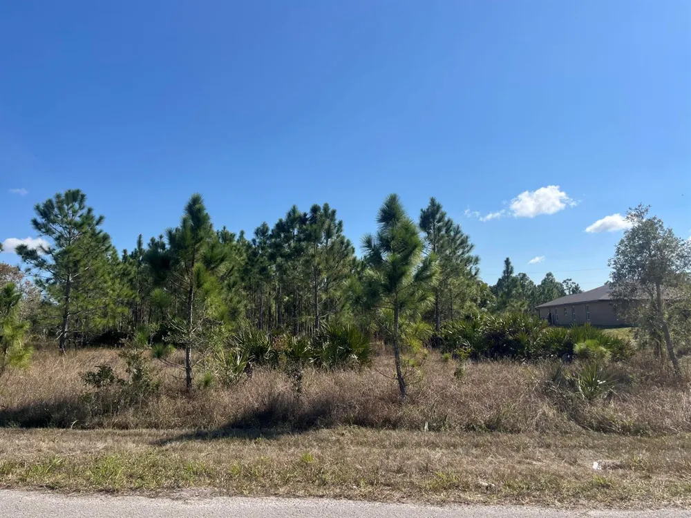 1247 Brunell Avenue Fort Myers, FL 33913