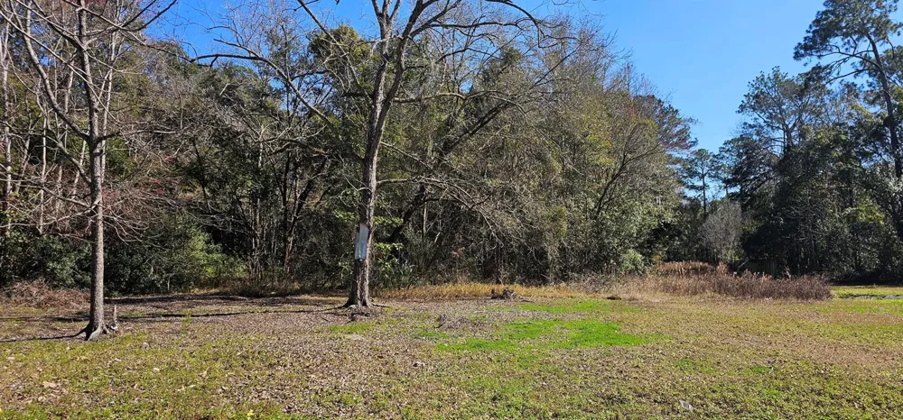 5676 Soutel Drive Jacksonville, FL 32219