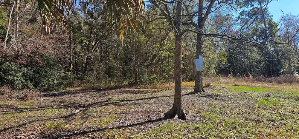 5676 Soutel Drive Jacksonville, FL 32219