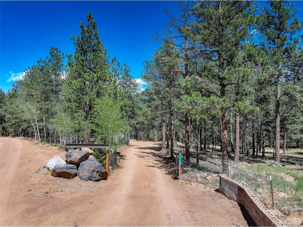 858 Forest Drive Bailey, CO 80421