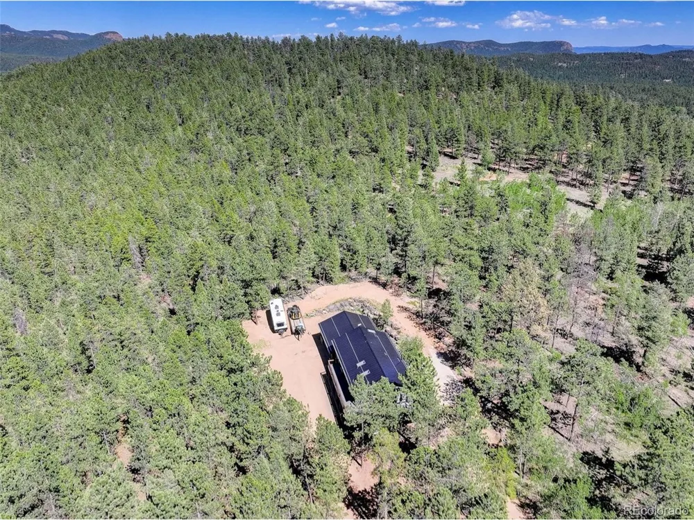 858 Forest Drive Bailey, CO 80421