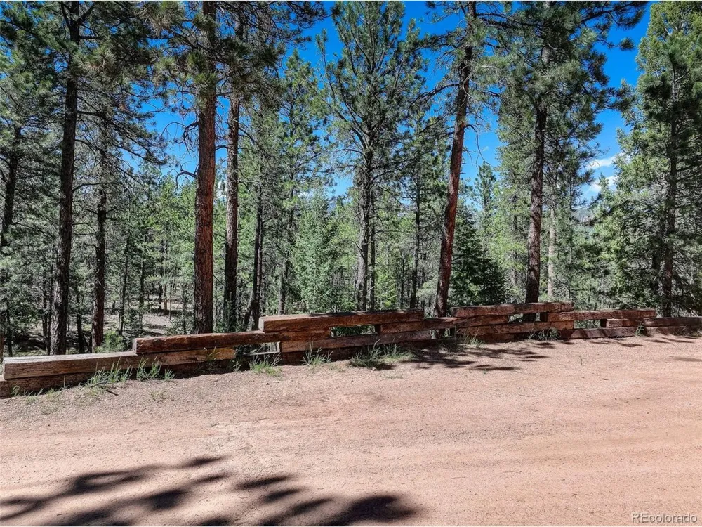 858 Forest Drive Bailey, CO 80421