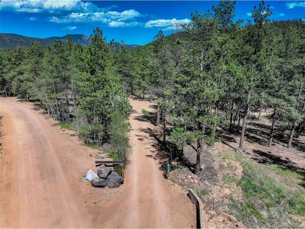 858 Forest Drive Bailey, CO 80421