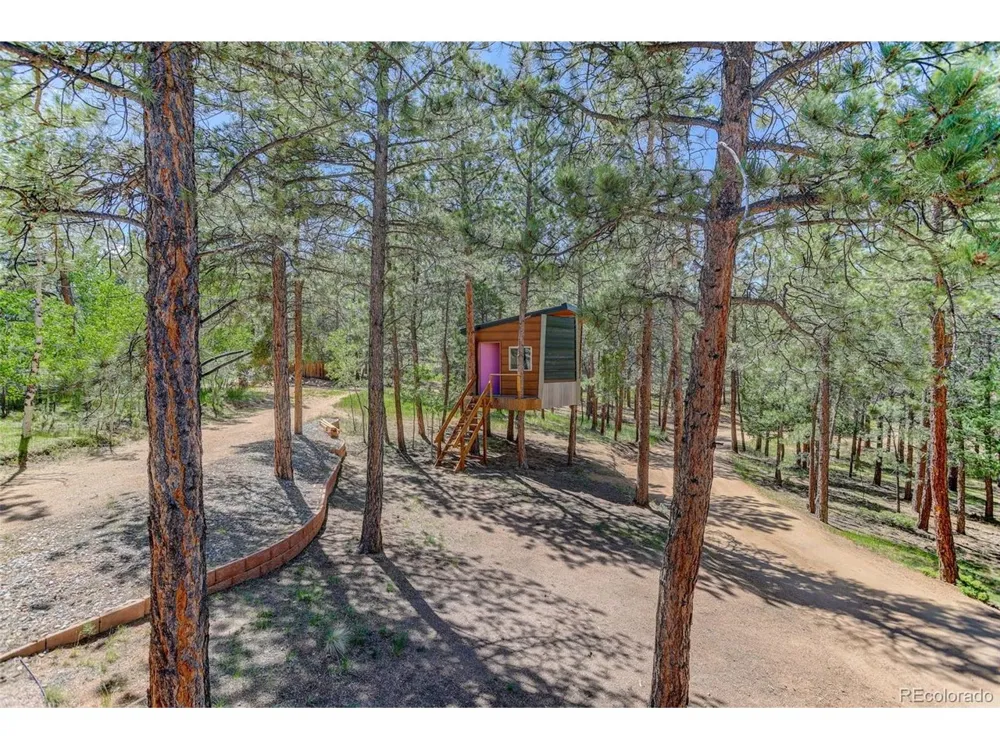 858 Forest Drive Bailey, CO 80421