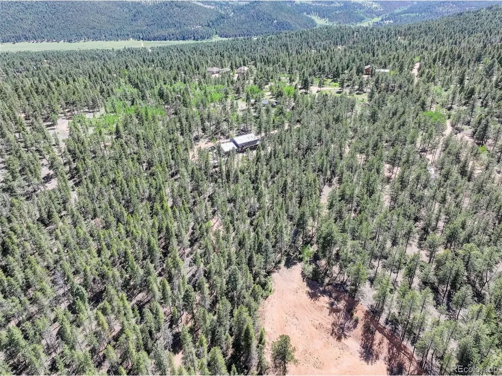 858 Forest Drive Bailey, CO 80421