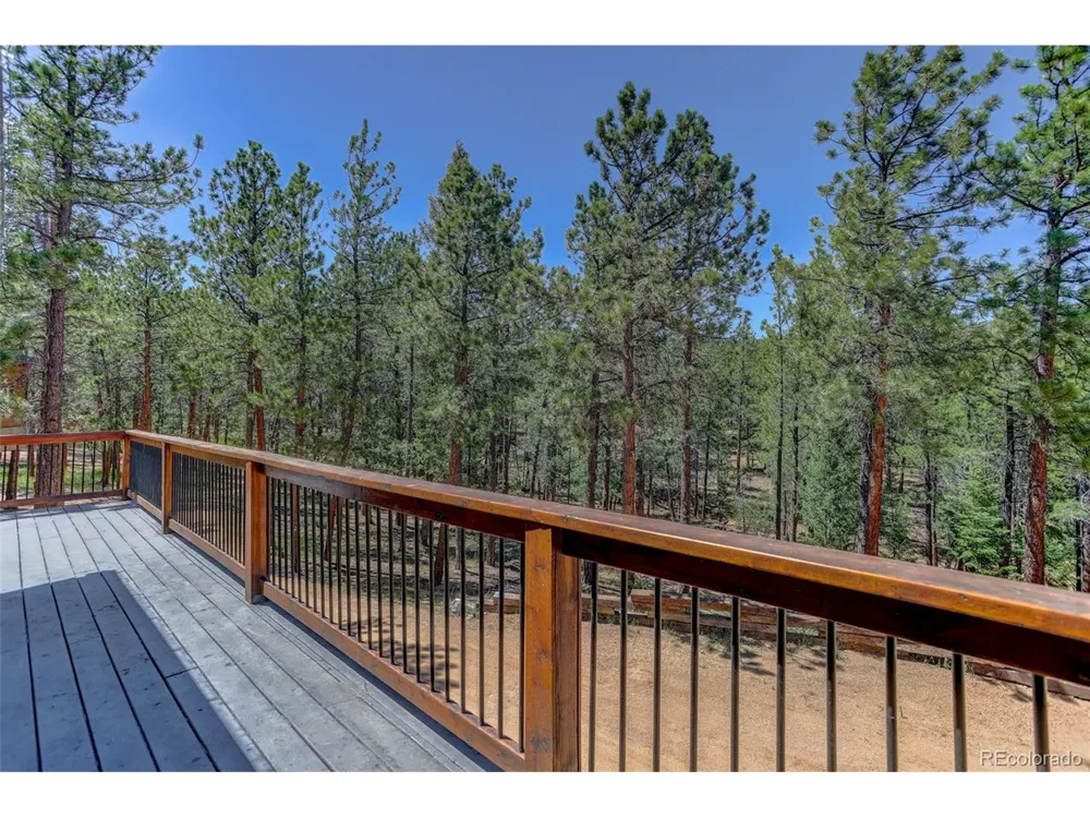 858 Forest Drive Bailey, CO 80421