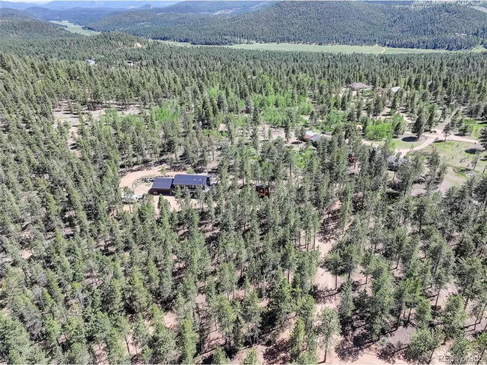 858 Forest Drive Bailey, CO 80421