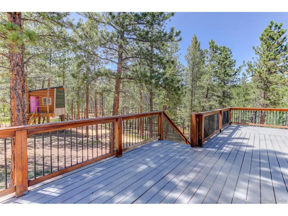 858 Forest Drive Bailey, CO 80421