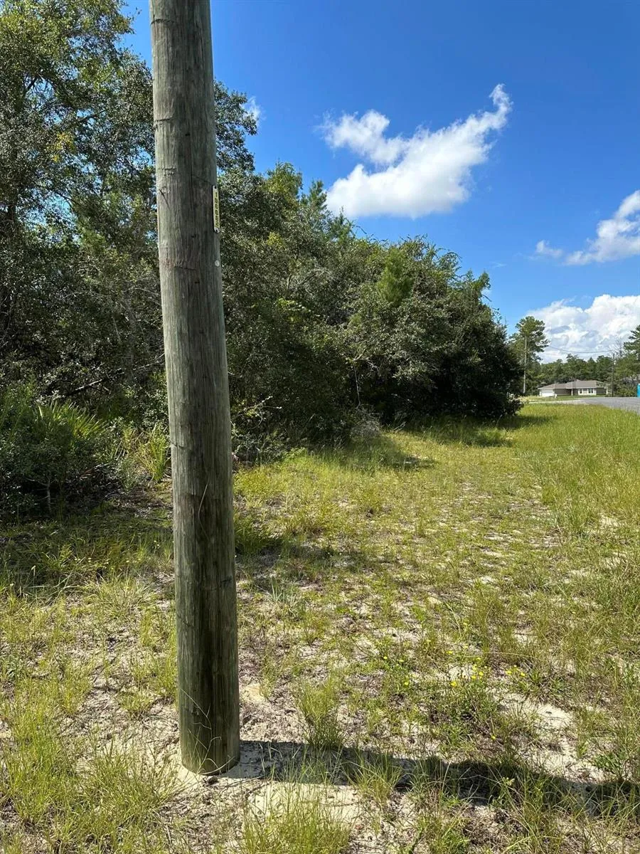 SW 168th Loop 