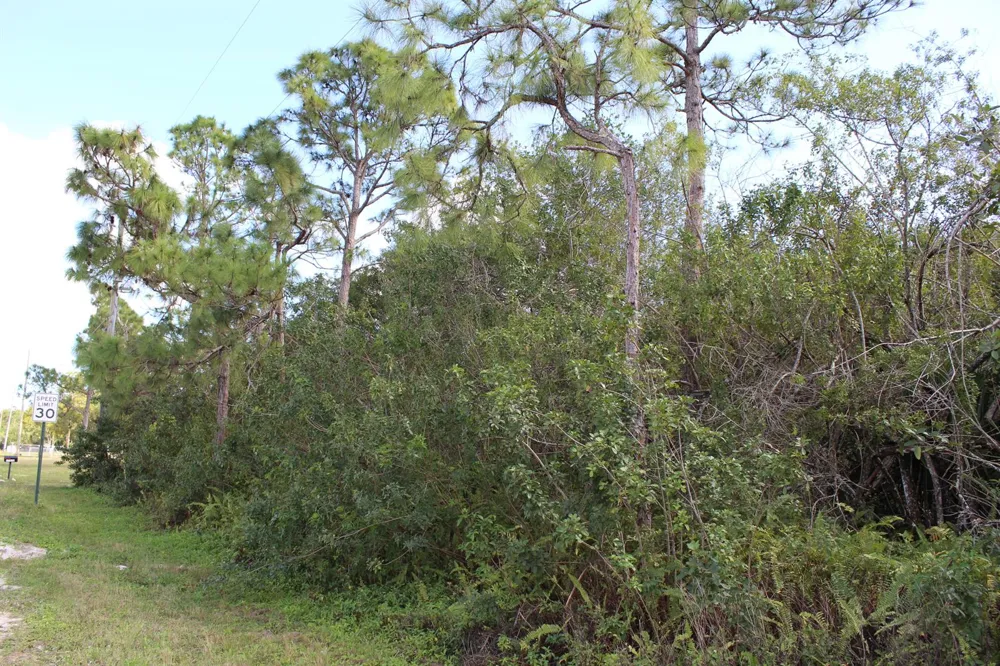 17992 94th Street Loxahatchee, FL 33470