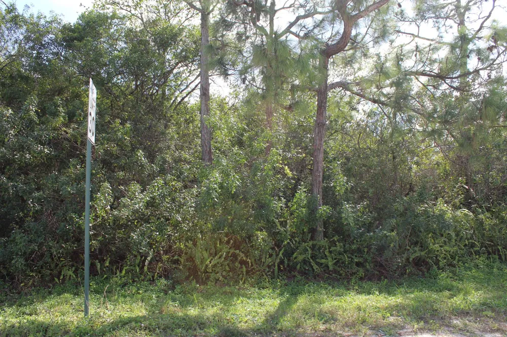 17992 94th Street Loxahatchee, FL 33470