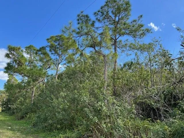 17992 94th Street Loxahatchee, FL 33470