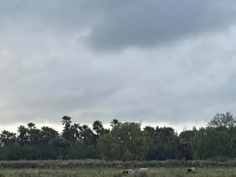 1425 S Header Canal Road Fort Pierce, FL 34945