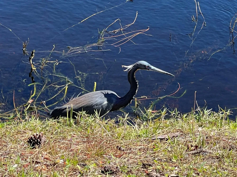 4310 Gator Trace Circle Fort Pierce, FL 34982