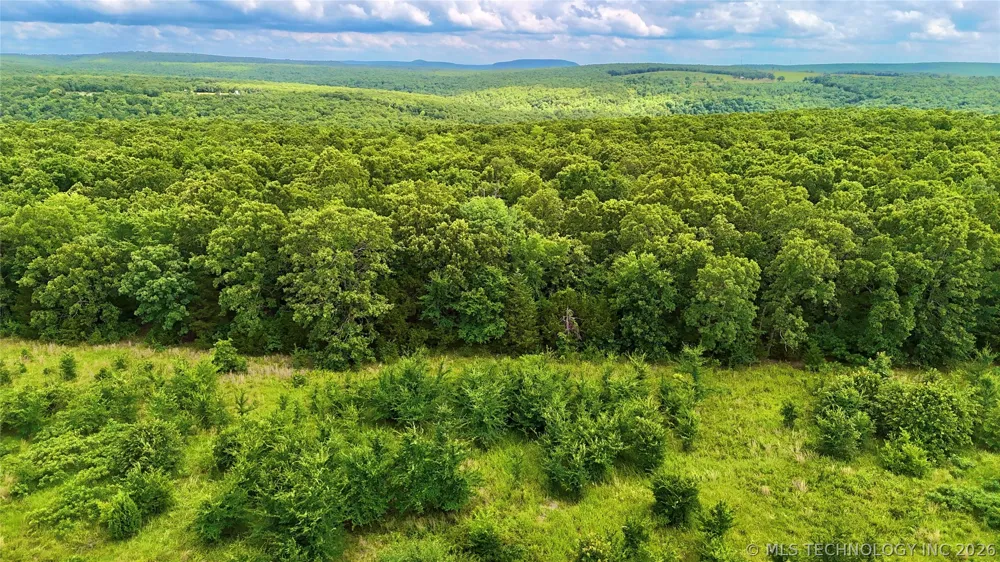 W County Road 1260 Quinton, OK 74561