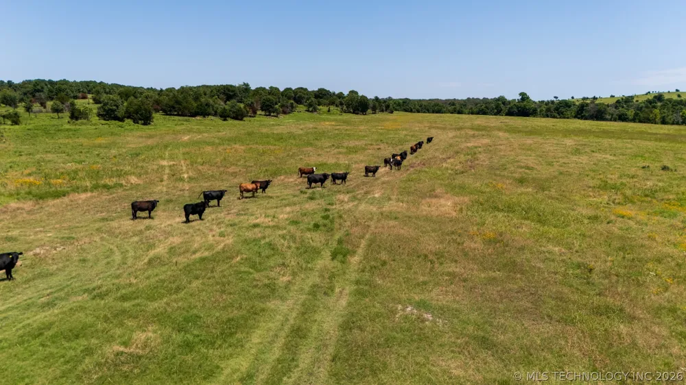 301st Street S Bristow, OK 74010