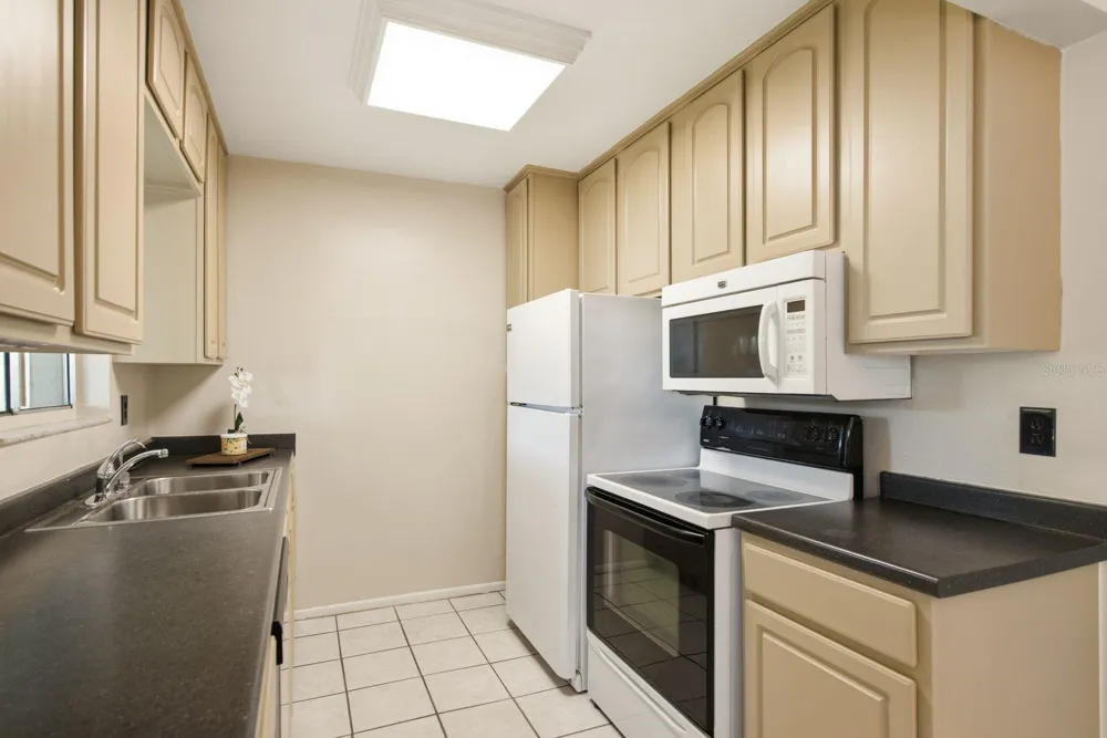 442 EVERGREEN DRIVE Oldsmar, FL 34677