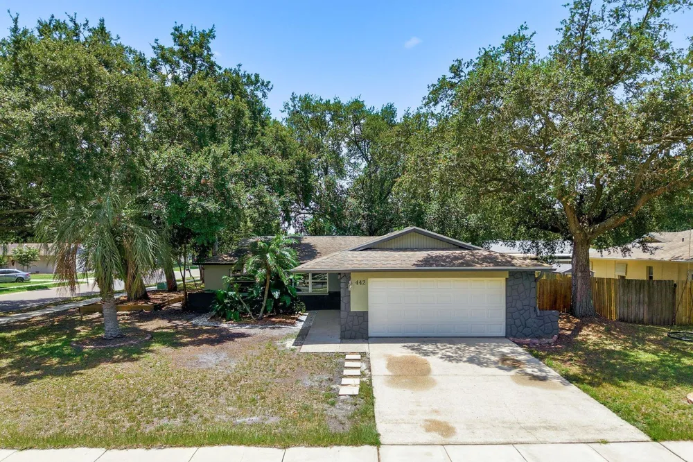 442 EVERGREEN DRIVE Oldsmar, FL 34677
