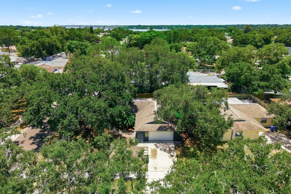 442 EVERGREEN DRIVE Oldsmar, FL 34677