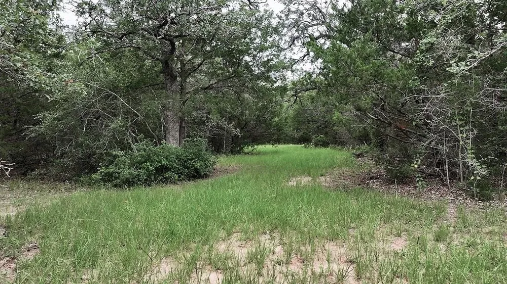 2625 Burke Road Flatonia, TX 78941