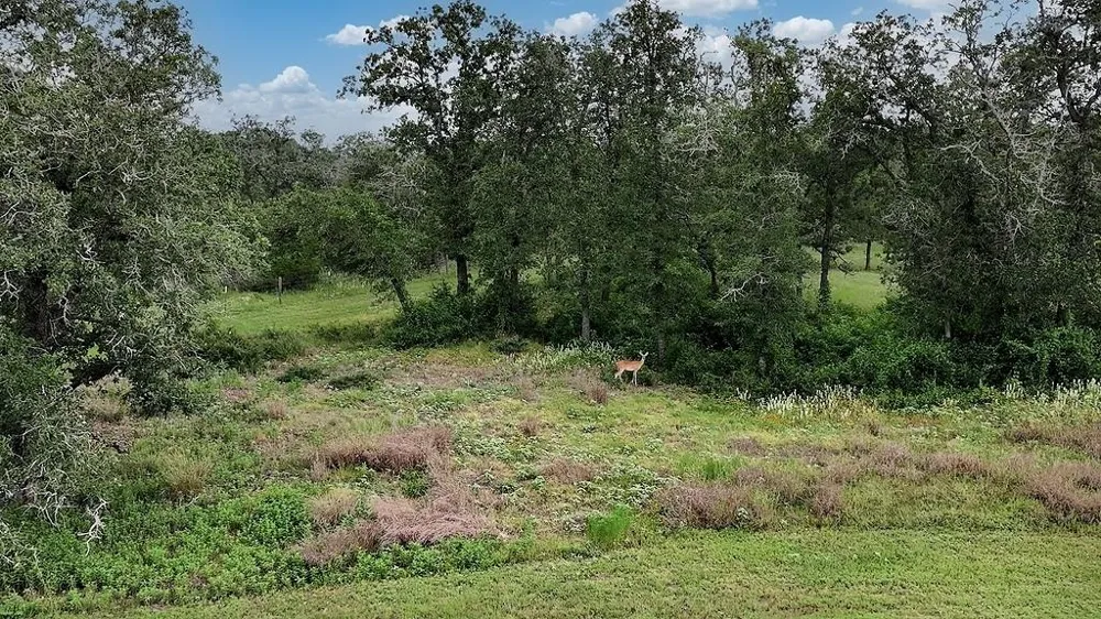 2625 Burke Road Flatonia, TX 78941