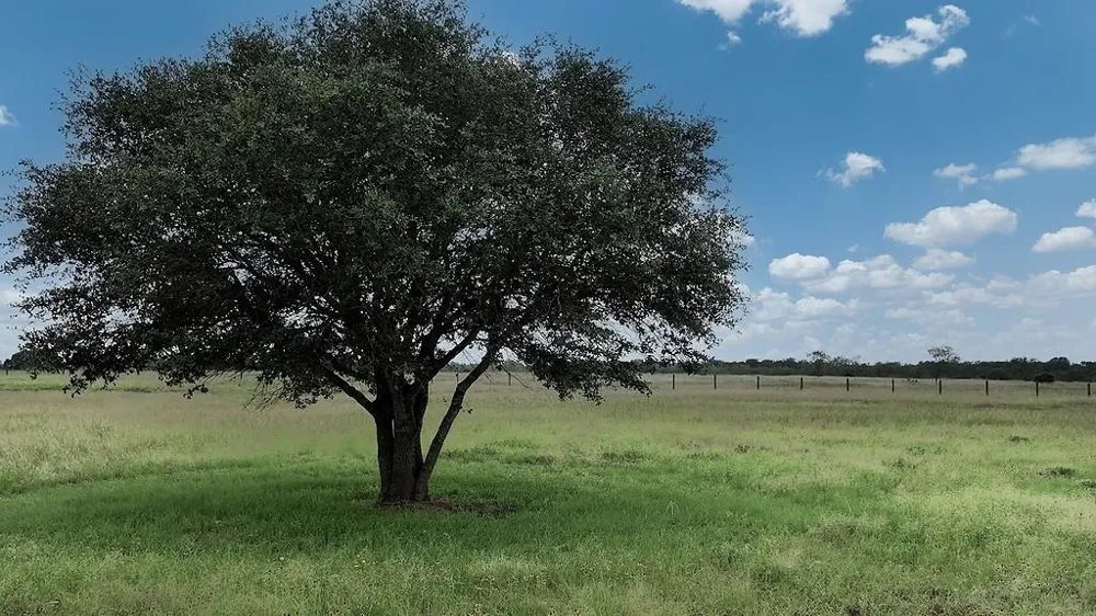 2625 Burke Road Flatonia, TX 78941