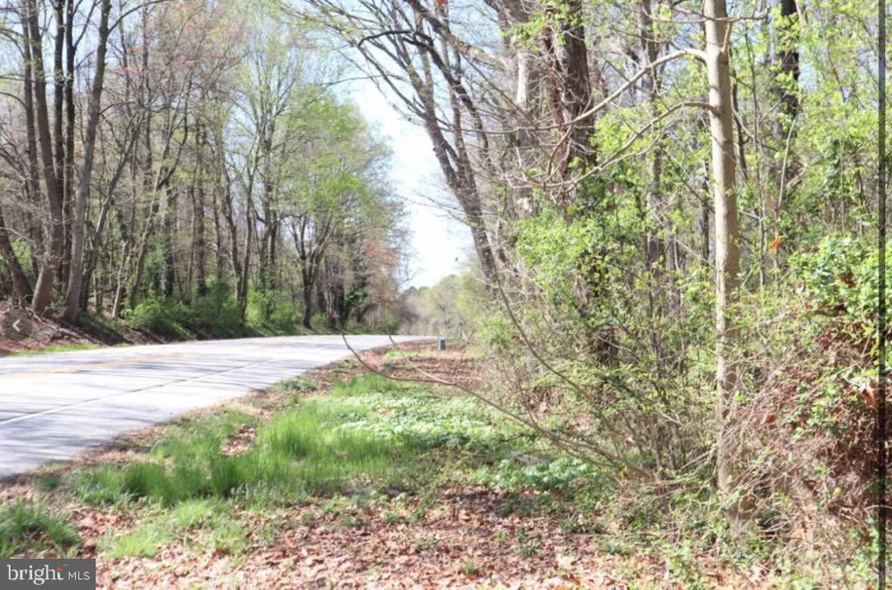FAIRLEE ROAD Chestertown, MD 21620