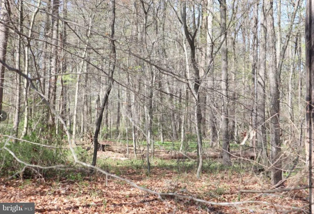 FAIRLEE ROAD Chestertown, MD 21620