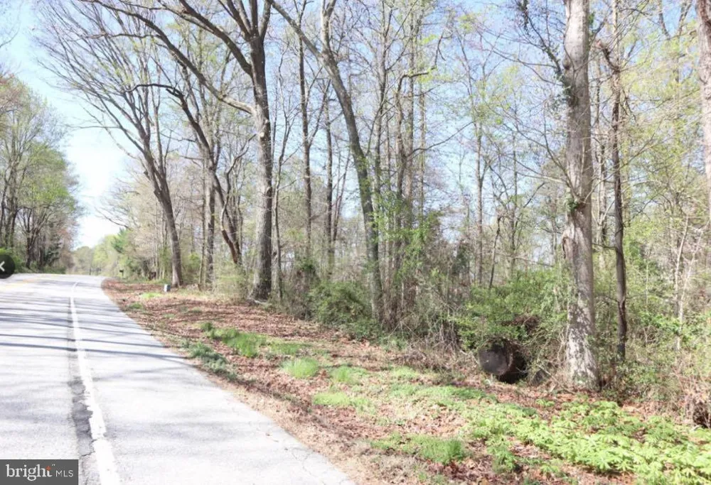 FAIRLEE ROAD Chestertown, MD 21620