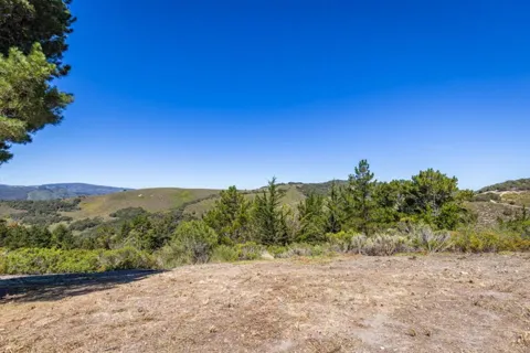 25330 Tierra Grande Drive