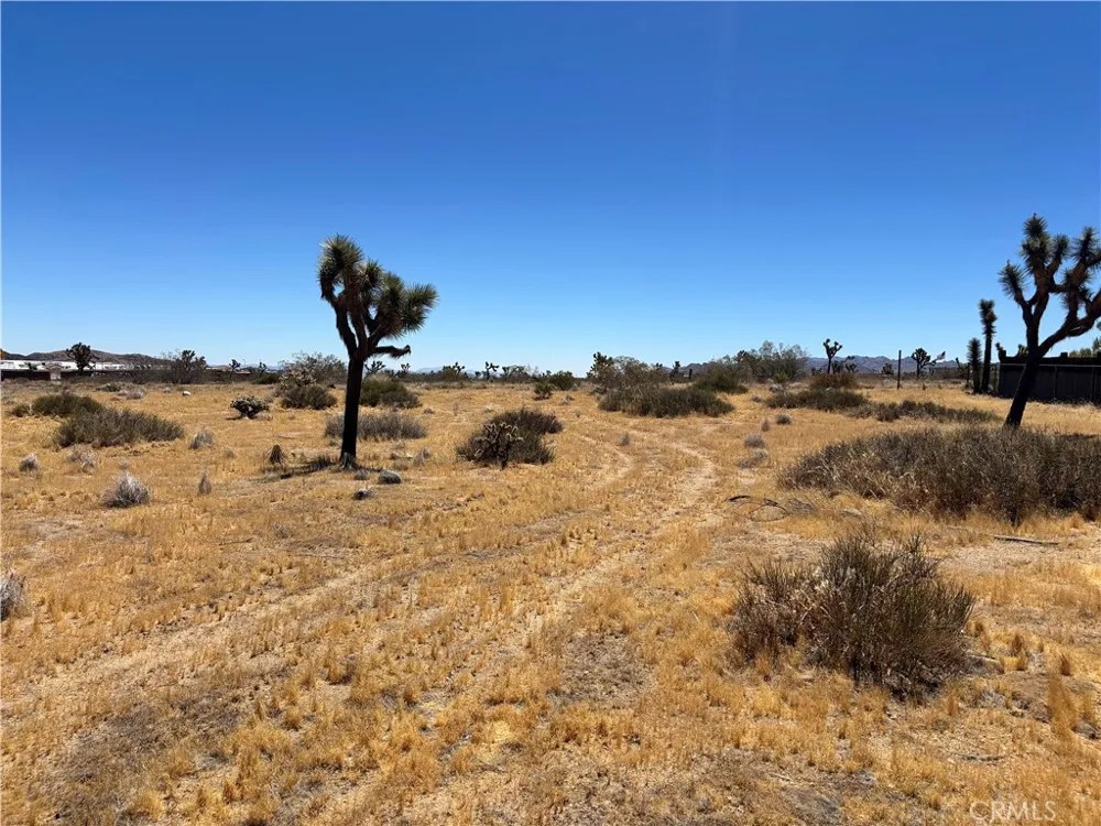 4321 Avalon Avenue Yucca Valley, CA 92284