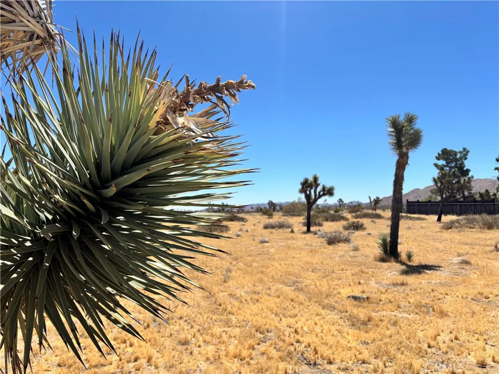 4321 Avalon Avenue Yucca Valley, CA 92284