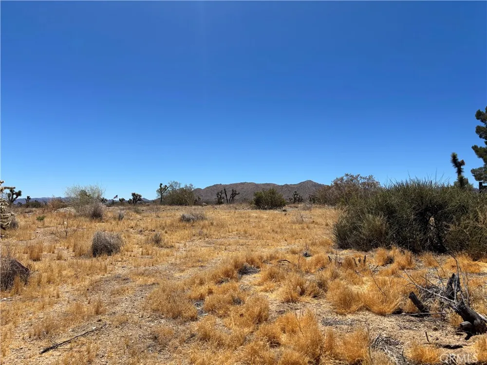 4321 Avalon Avenue Yucca Valley, CA 92284