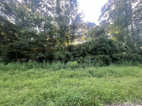 Royal Creek Rd