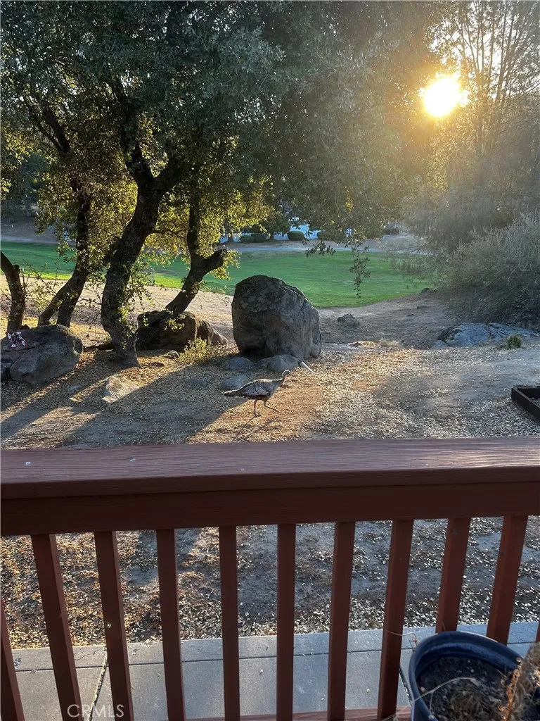 42781 Badger Circle Drive Coarsegold, CA 93614