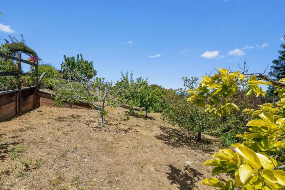 200 McAmant Drive Santa Cruz, CA 95060