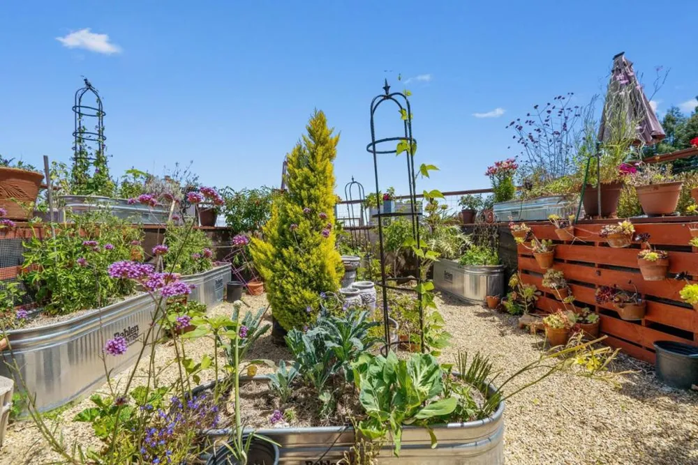 200 McAmant Drive Santa Cruz, CA 95060