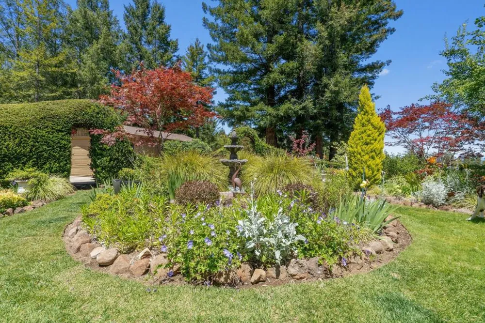 200 McAmant Drive Santa Cruz, CA 95060