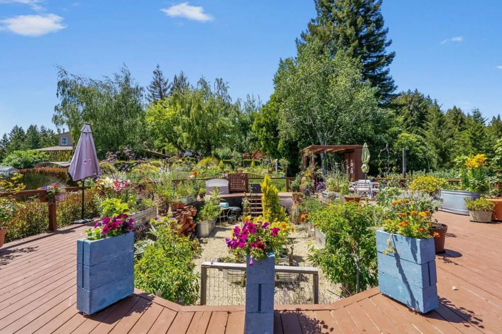 200 McAmant Drive Santa Cruz, CA 95060